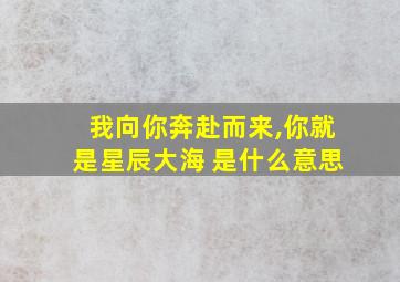 我向你奔赴而来,你就是星辰大海 是什么意思